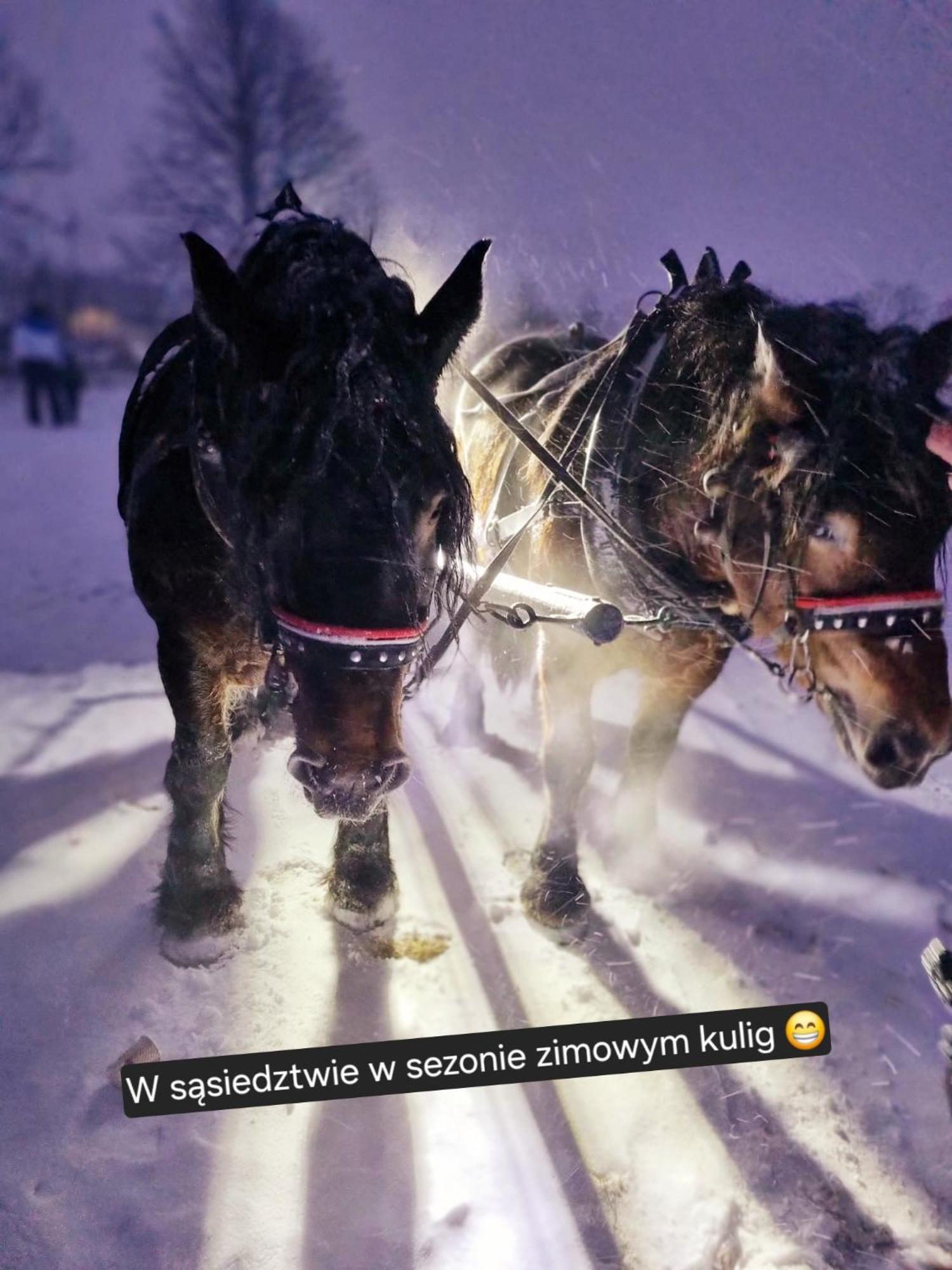 Zacisze W Karkonoszach Dom wakacyjny *